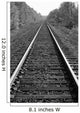 Train Tracks Wall Mural