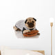pug dog baseball Wall Decal