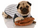 pug dog baseball Wall Decal