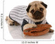 pug dog baseball Wall Decal