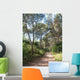 Foret Pins Wall Mural
