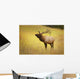 Elk, Jasper, Alberta, Canada Wall Mural