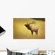 Elk, Jasper, Alberta, Canada Wall Mural