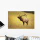 Elk, Jasper, Alberta, Canada Wall Mural