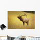 Elk, Jasper, Alberta, Canada Wall Mural
