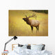 Elk, Jasper, Alberta, Canada Wall Mural