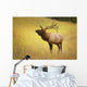 Elk, Jasper, Alberta, Canada Wall Mural