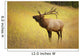 Elk, Jasper, Alberta, Canada Wall Mural