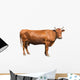Brown Cow Wall Decal