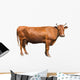 Brown Cow Wall Decal