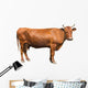 Brown Cow Wall Decal
