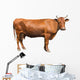 Brown Cow Wall Decal