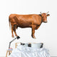 Brown Cow Wall Decal
