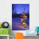 Christmas Tree Outdoors Under Moonlight Wall Mural