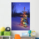 Christmas Tree Outdoors Under Moonlight Wall Mural