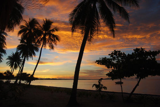 Early Sunrise
