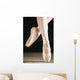 Ballet Dancer En Pointe Wall Mural