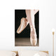 Ballet Dancer En Pointe Wall Mural