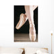 Ballet Dancer En Pointe Wall Mural