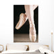Ballet Dancer En Pointe Wall Mural