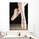 Ballet Dancer En Pointe Wall Mural