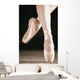 Ballet Dancer En Pointe Wall Mural