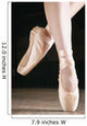 Ballet Dancer En Pointe Wall Mural