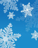 Snowflakes Wall Mural