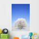 Frosty Trees Wall Mural