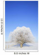 Frosty Trees Wall Mural
