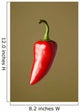 Red Chili Pepper Wall Mural