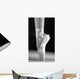 A Ballet Slipper Wall Mural