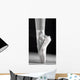 A Ballet Slipper Wall Mural