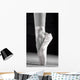 A Ballet Slipper Wall Mural