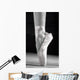 A Ballet Slipper Wall Mural