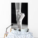 A Ballet Slipper Wall Mural