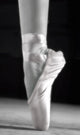 A Ballet Slipper Wall Mural