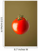 Red Tomato Wall Mural