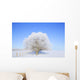 Trees In Winter Wall Mural