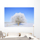 Trees In Winter Wall Mural
