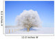 Trees In Winter Wall Mural