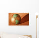 A Globe Wall Mural