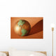 A Globe Wall Mural