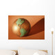 A Globe Wall Mural