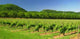 From Lot Valley Wall Decal Design 2
