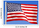 The American Flag Wall Mural