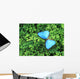 Blue Butterfly On A Plant Wall Mural