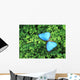 Blue Butterfly On A Plant Wall Mural