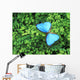 Blue Butterfly On A Plant Wall Mural