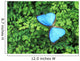 Blue Butterfly On A Plant Wall Mural